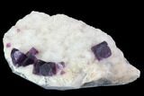 Dark Purple Cubic Fluorite on Quartz - China #94314-1